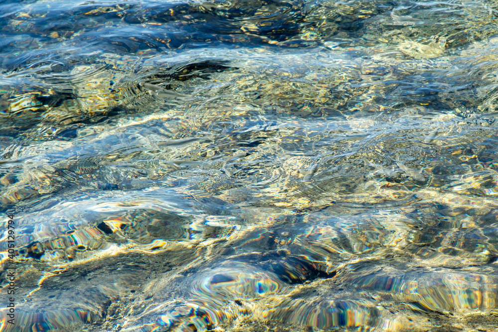 Fish on the surface of the water in the sea, defocused water background.