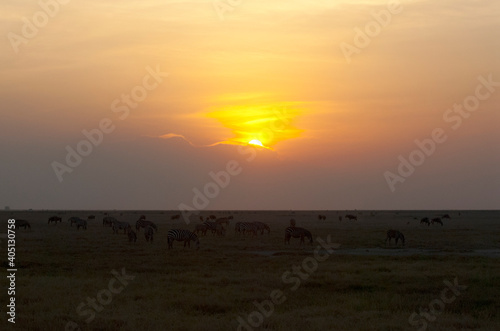 Landschap Amboseli  Landscape Amboseli