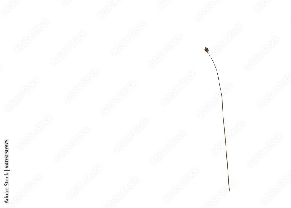 An abstract photo of a minimalist photo bent in the snow. An abstract photo of a minimalist photo bent in the snow.