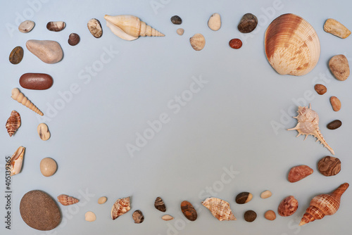 Seashells and stones on a blue background, summer concept.