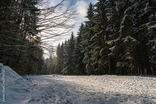 Fantastic snowy winter landscape near Heiligenberg on Lake Constance photo