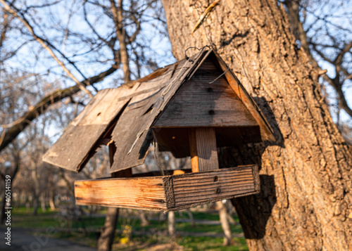 Wooden bird feeder in the autumn park on the tree. © Prikhodko