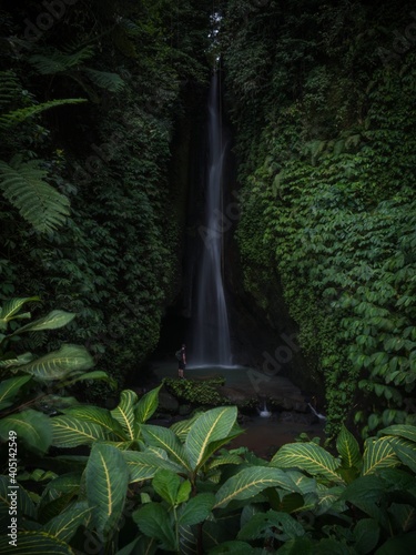 Tropical rainforest lush green jungle hidden waterfall Air Terjun Leke Leke in Baturiti Tabanan Bali Indonesia Asia photo