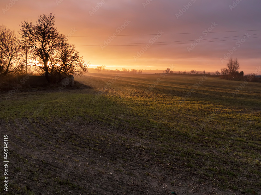 Obraz premium Amanecer en el campo de Pinto. Madrid. España. Europa.