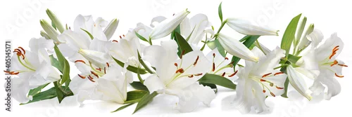 Panel kuchenny z motywem white lily   long