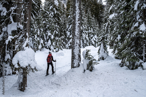 Trentino, escursione con le ciaspole