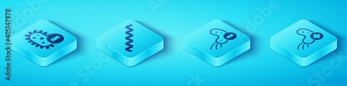 Set Isometric Negative virus, Virus, Positive virus and Negative virus icon. Vector.