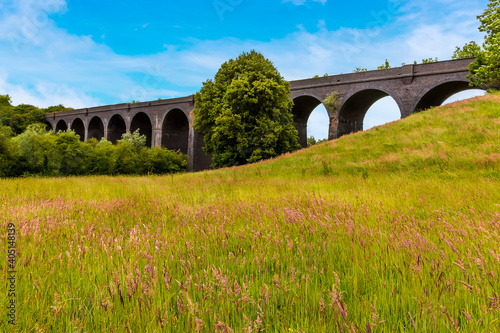 A view across the long grass towards the viaduct near Catesby, Warwickshire, UK photo