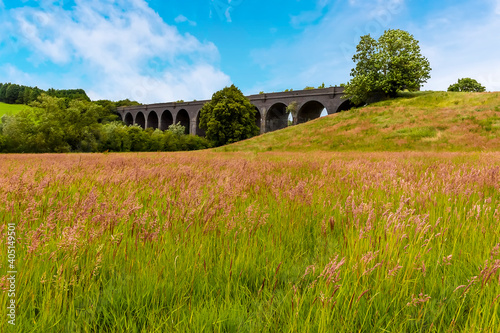 A view across summer meadows towards the derelict and abandoned viaduct near Catesby, Northamptonshire, UK photo