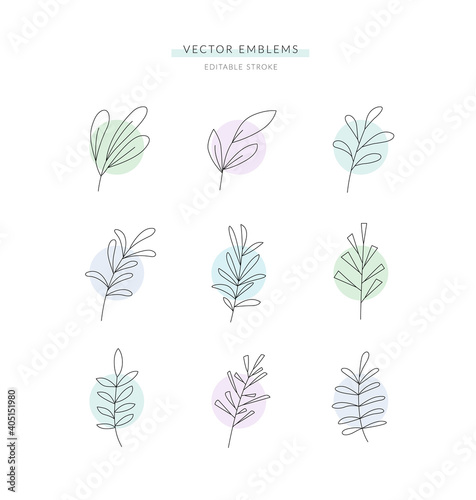 Vector set of different botanical design elements, emblems or logo, badges. Editable stroke, linear style.