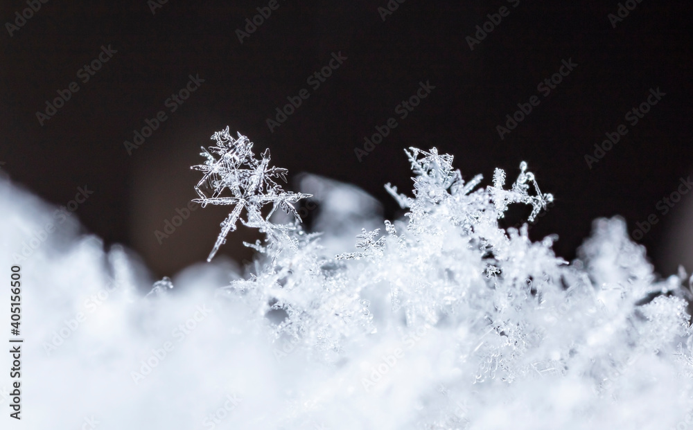 snapshot of a small snowflake taken during a snowfall snapshot of a small snowflake taken during a snowfall