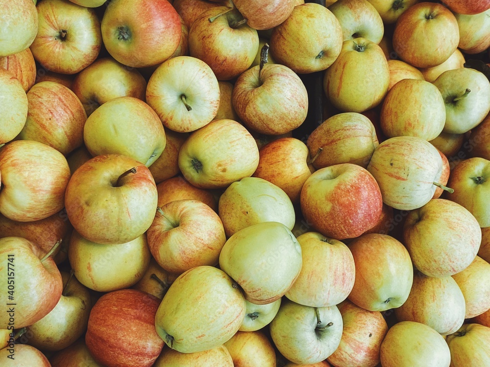 set of ripe apples close up set of ripe apples close up