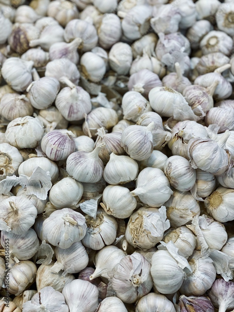 set of garlic top view for food patterns