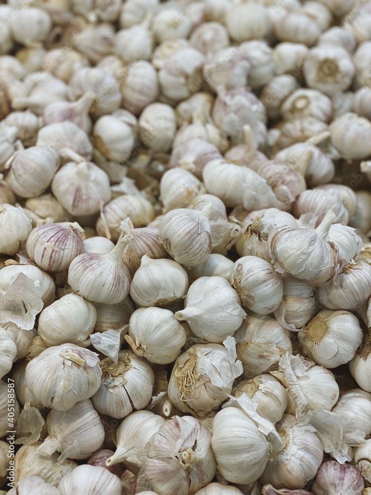 set of garlic top view for food patterns set of garlic top view for food patterns