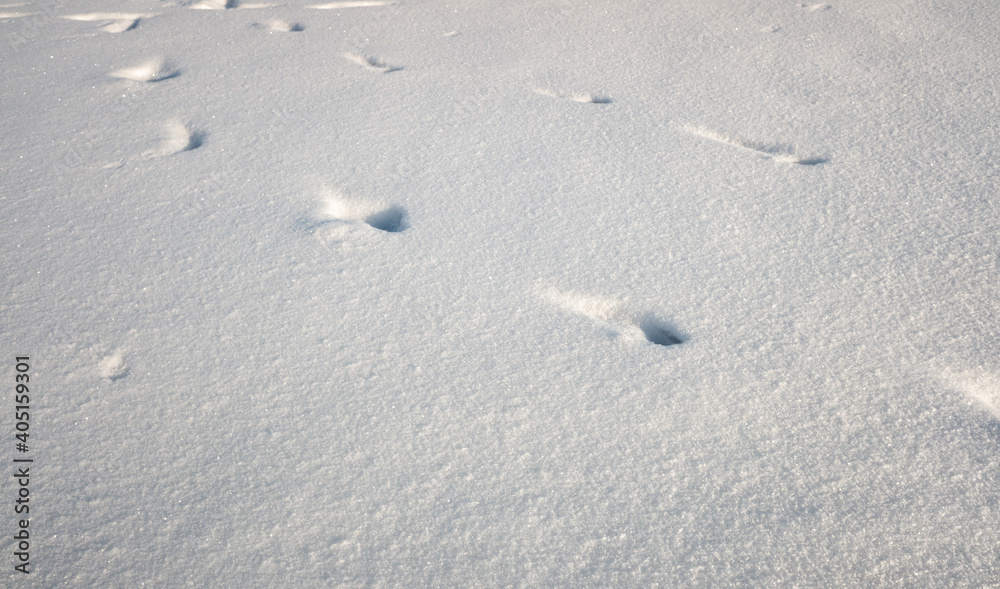 white snow drifts winter landscape white snow drifts winter landscape