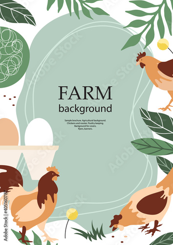Sample brochure. Agricultural background. Chickens and rooster. Poultry keeping.