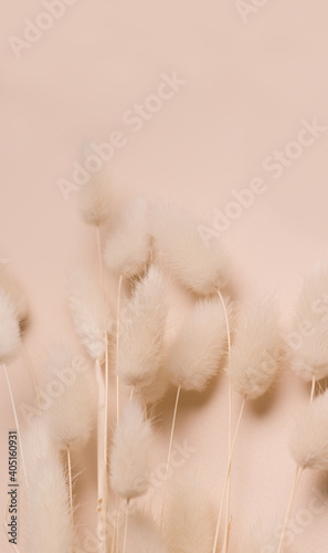 Dry flowers on a beige background. copy space. Vertical photo