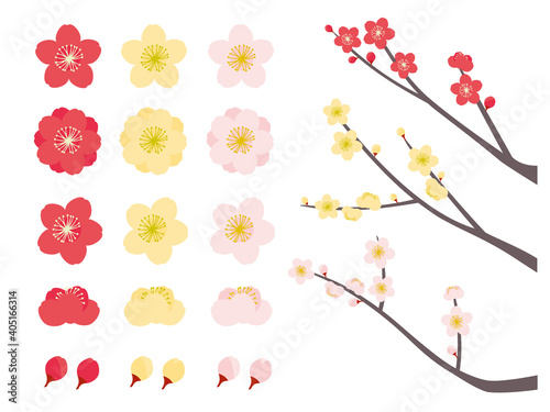 いろんな梅の花のセット