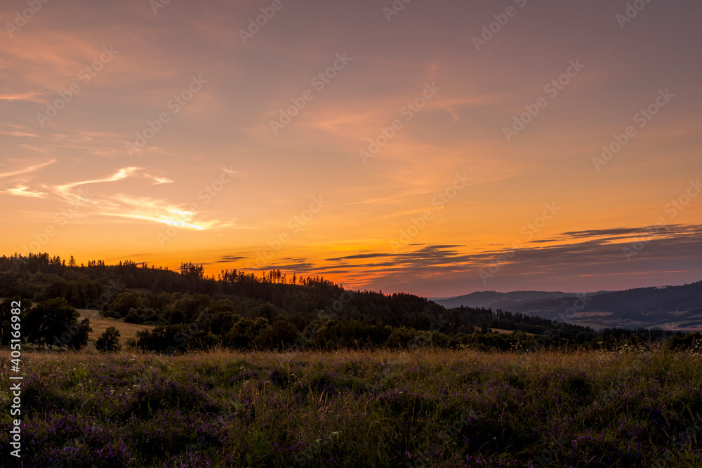 Field where grass grows overlooking the surrounding hills and treetops during sunset on an orange horizon overlooking the landscape and nature.