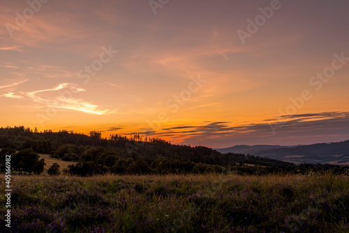 Field where grass grows overlooking the surrounding hills and treetops during sunset on an orange horizon overlooking the landscape and nature.