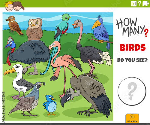 how many birds educational cartoon game for children photo