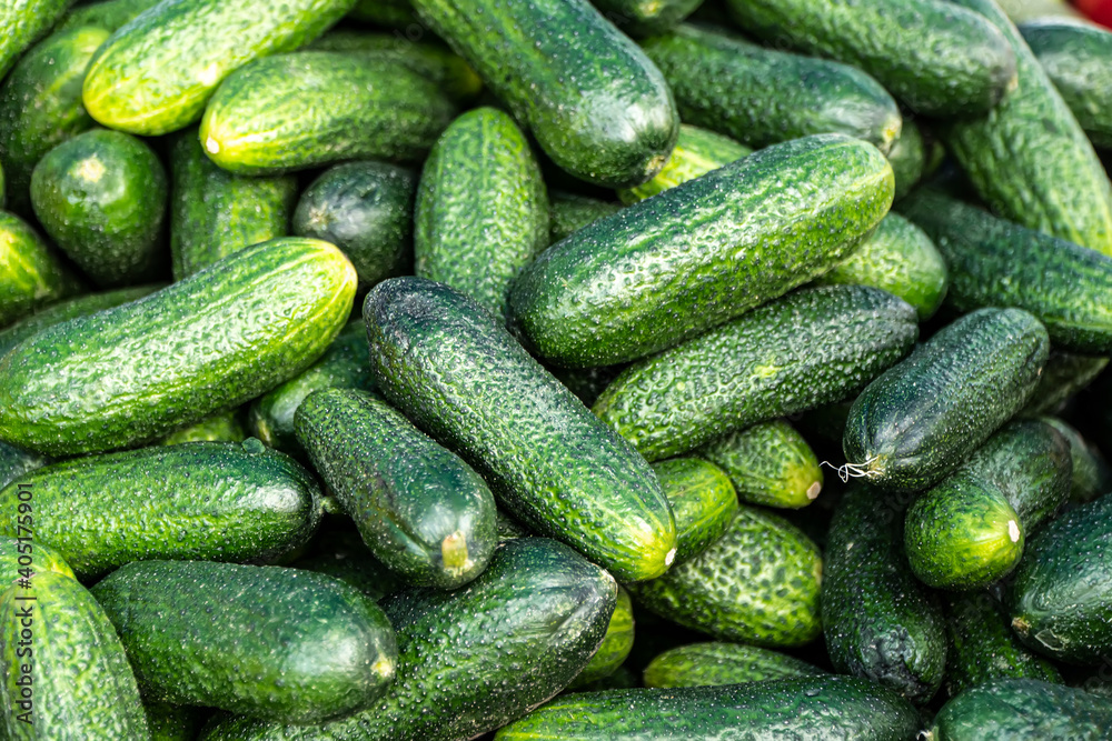 vegetables, tomatoes, cucumbers and sweet peppers on the counter close-up vegetables, tomatoes, cucumbers and sweet peppers on the counter close-up