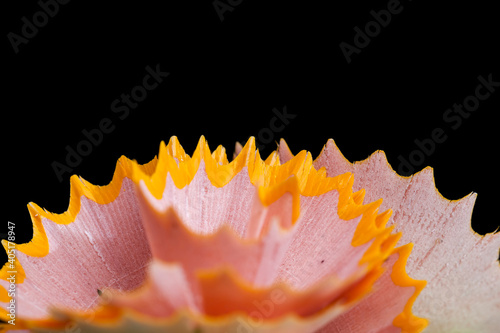 Cuadro en lienzo pencil shavings after sharpening