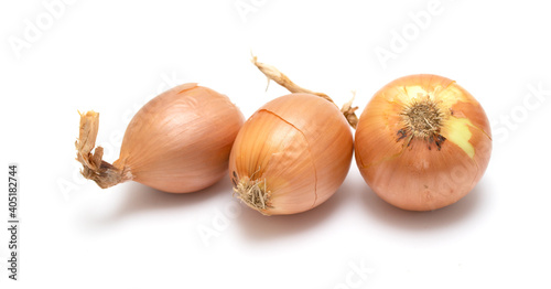 Yellow onion head isolated on white background.