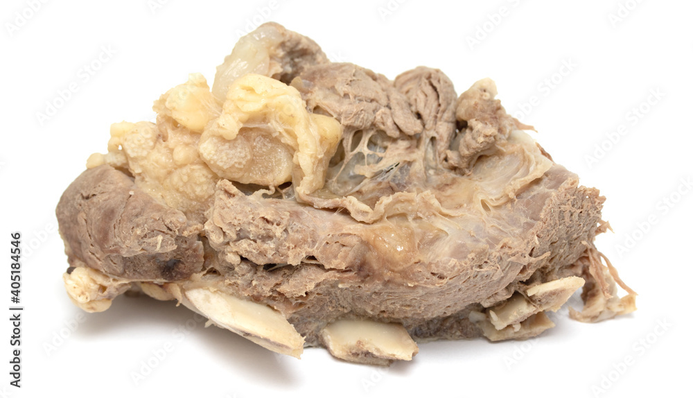 Piece of boiled beef with bone isolated on white background. Piece of boiled beef with bone isolated on white background.