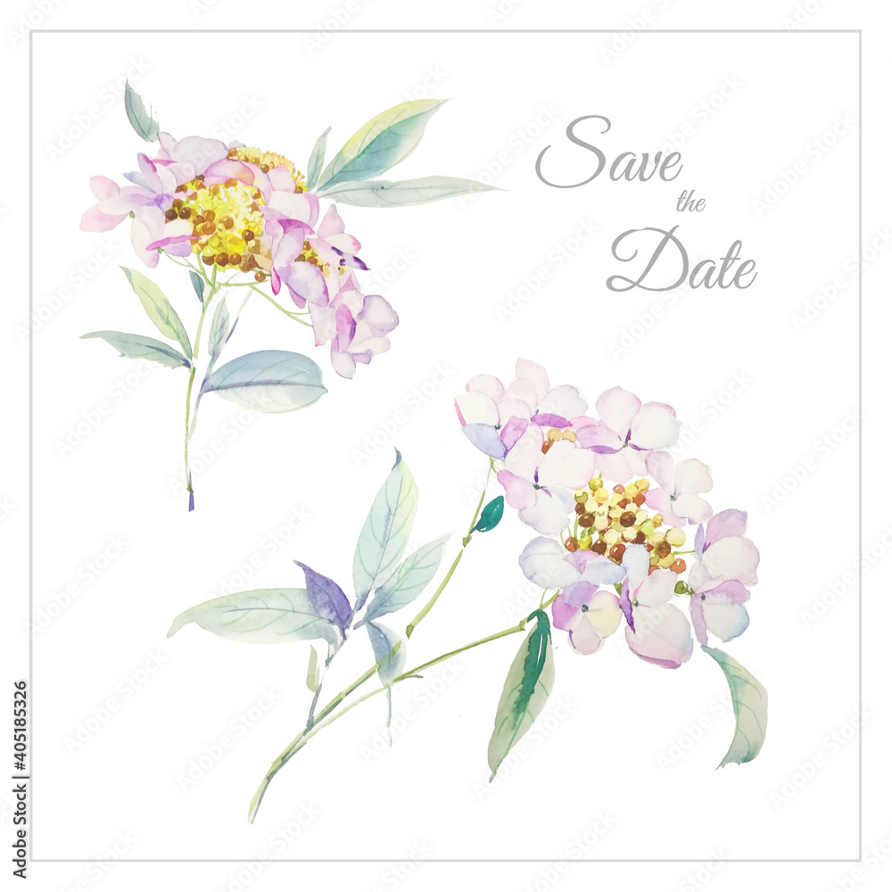 Watercolor flowers illustration Watercolor flowers illustration
