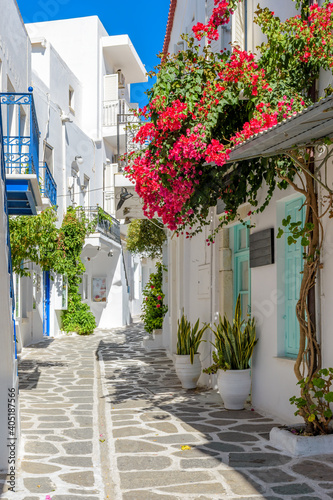 Traditional Cycladitic alley with a narrow street, whitewashed houses and a blooming bougainvillea in parikia, Paros island, Greece.