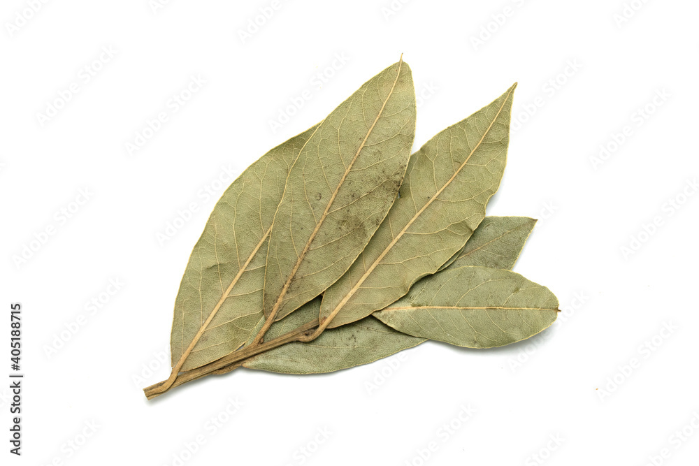 Dried laurel leaves on a white isolated background. Dried laurel leaves on a white isolated background.