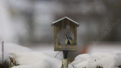 Une mésange picore sur une mangeoire à oiseaux en bois avec un toit métallique
