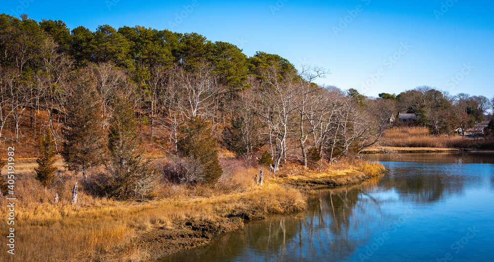Winter Forest and Pond Landscape on Bright Sunny Day Winter Forest and Pond Landscape on Bright Sunny Day
