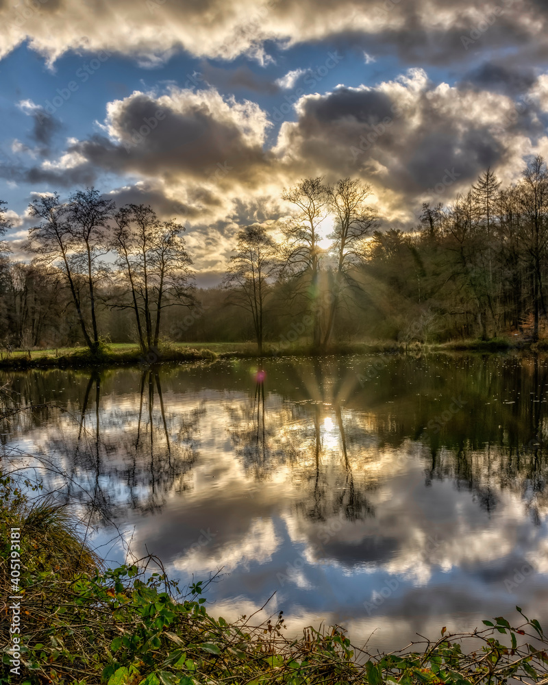 Obraz premium Teich Im Klosterforst Loccum in der Abendsonne im Jannuar 2021