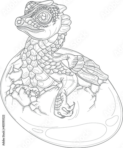 Cartoon fairy tail magic dragon in egg shell sketch template. Graphic vector illustration in black and white for games, background, pattern, wallpaper, decor. Coloring paper, page, story book, print