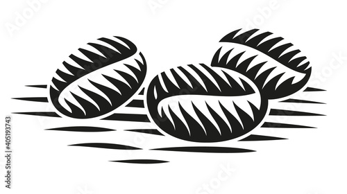 A black and white vector illustration of coffee beans in engraving style
