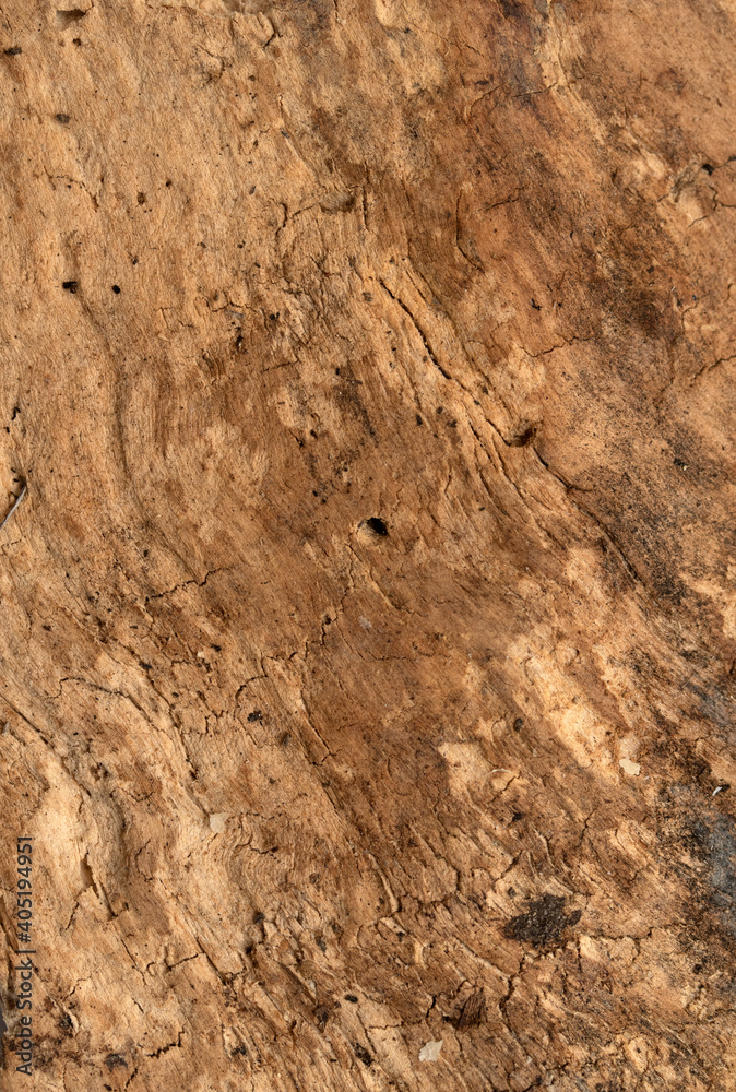 background old wood texture wood rotten dry background old wood texture wood rotten dry