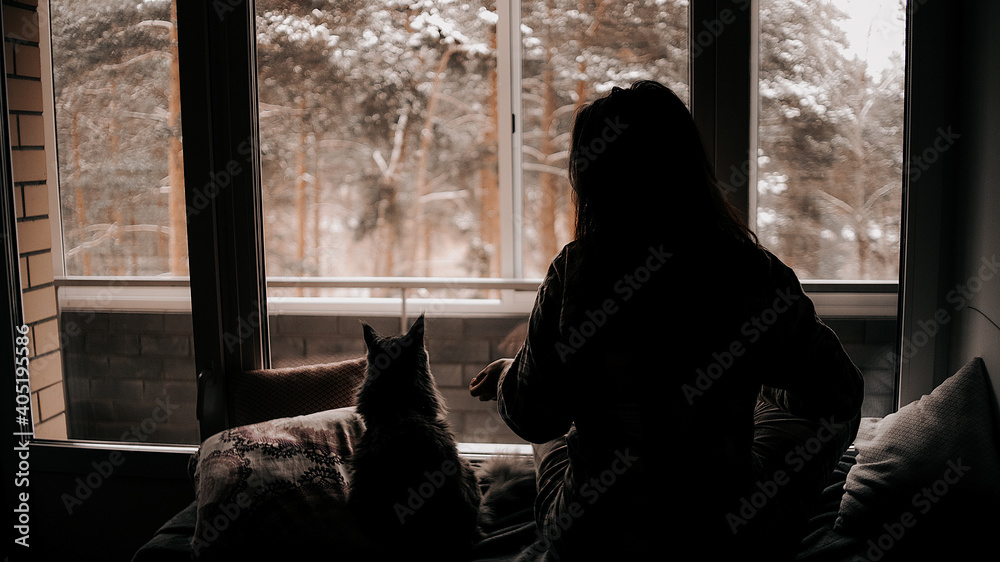 cat on window cat on window