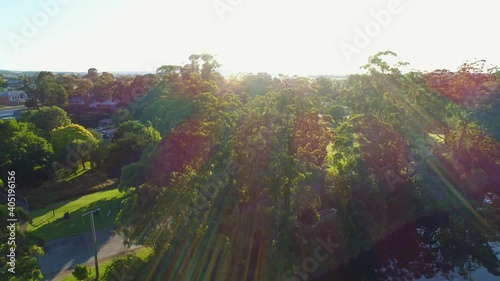 Slow aerial descend in front of tall trees facing the sun at sunrise photo