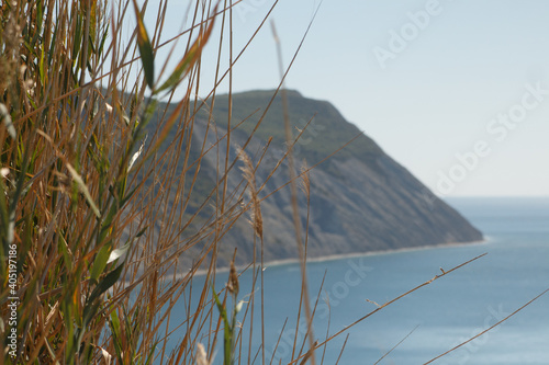 mountain on the background of the sea