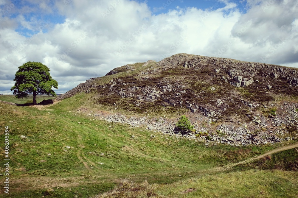 Sycamore Gap and Robin Hood's tree on Hadrians Wall on a sunny day in Northumbria Sycamore Gap and Robin Hood's tree on Hadrians Wall on a sunny day in Northumbria