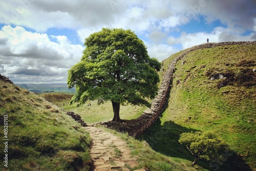 Sycamore Gap and Robin Hood's tree  on Hadrians Wall on a sunny day in Northumbria photo