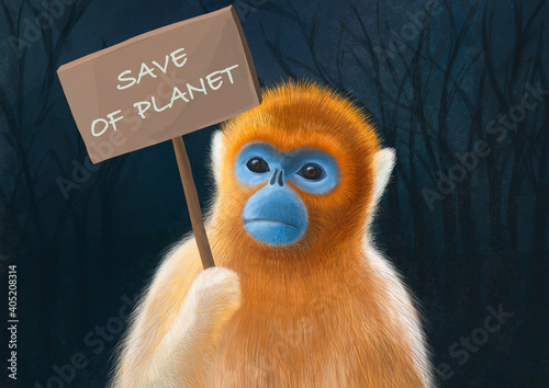 ValenGolden snub-nosed monkey asks to save the planet. photo