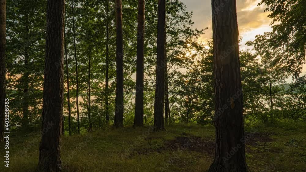 Beautiful summer sunset in the forest by the forest lake, Hyperlapse, camera movement Beautiful summer sunset in the forest by the forest lake, Hyperlapse, camera movement
