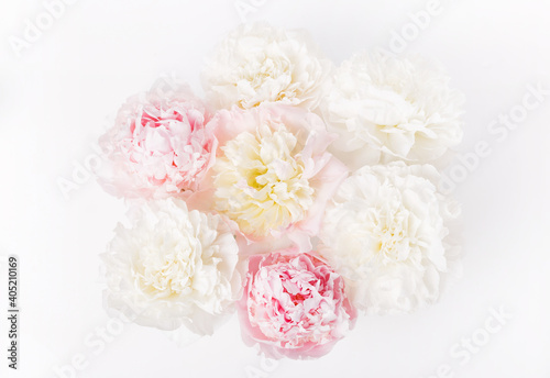 Beautiful aromatic fresh blossoming tender pink peonies texture, close up view. Romantic background