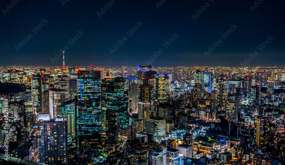 The night view of Tokyo, one of the three largest cities in the world.