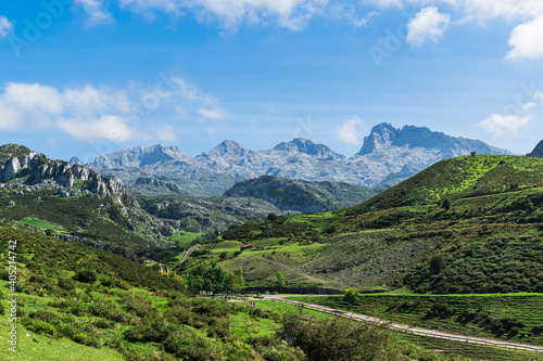 View of the highest peaks in the natural park of the Picos de Europa  on the route to the Lakes of Covadonga. Photograph taken in Asturias  Spain.