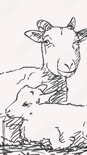 Goat and goatling together hand drawn portrait, Vector vertical illustration