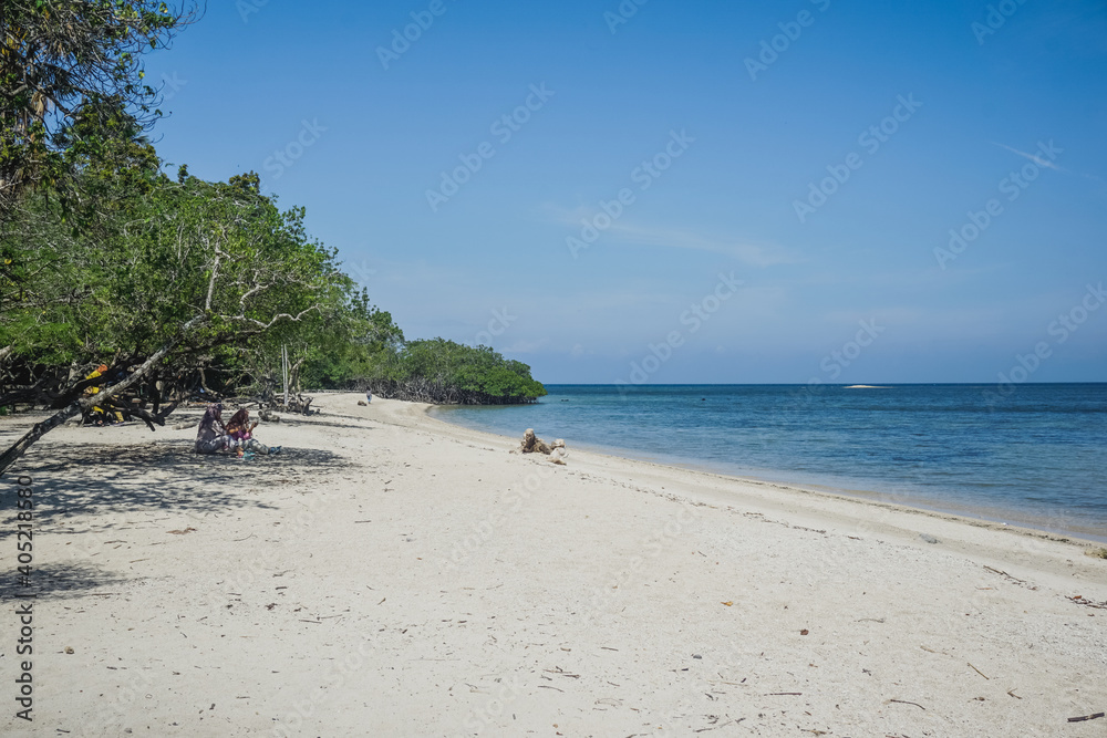 Fototapeta premium Tropical Bama Beach in Baluran Park